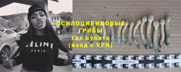 спайс Абдулино