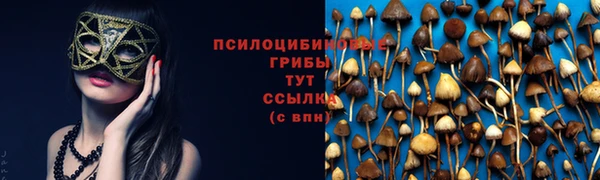 спайс Абдулино