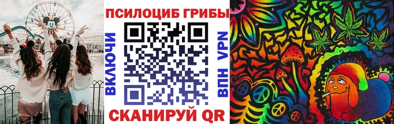 даркнет клад  Волоколамск  Псилоцибиновые грибы Cubensis 