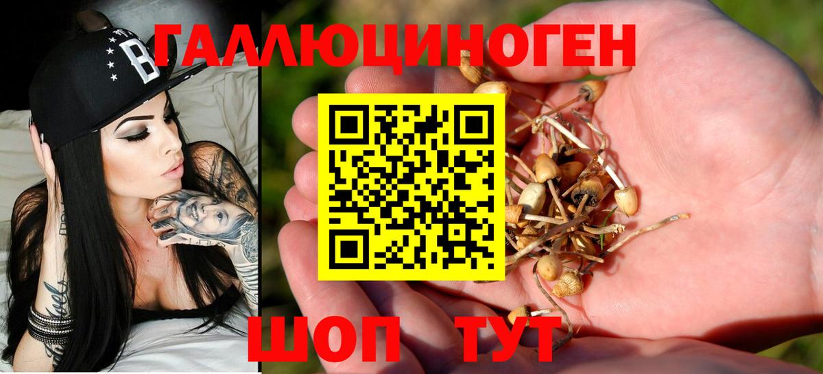 Галлюциногенные грибы мухоморы  Вход с VPN  Псилоцибиновые грибы прущие грибы  Волоколамск 